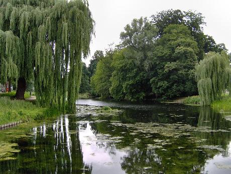 Photo Rijsterborgherpark en Deventer, Voir, Quartier, place, parc